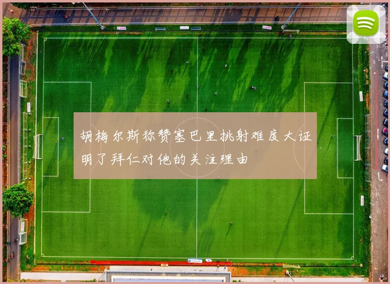 胡梅尔斯称赞塞巴里挑射难度大证明了拜仁对他的关注理由