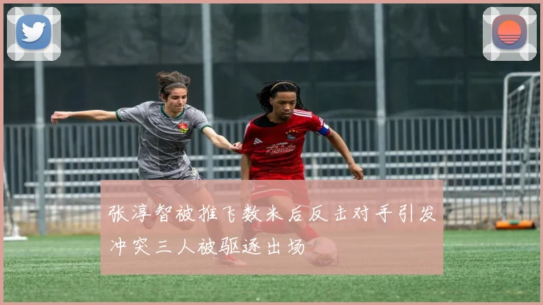 张淳智被推飞数米后反击对手引发冲突三人被驱逐出场